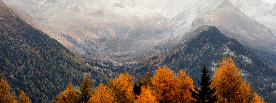 Fondo Solidal monte - Fondazione comunitaria della valle d'aosta - Fondazione VDA